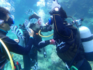 沖縄　ダイビング　砂辺　OWD講習　PADI　ライセンス講習