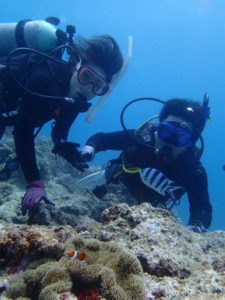 沖縄　ダイビング　砂辺　OWD講習　PADI　ライセンス講習