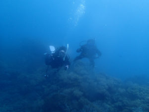 沖縄　ダイビング　砂辺　OWD講習　PADI　ライセンス講習