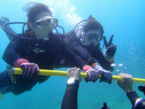 沖縄　体験ダイビング　ダイブサポートスティック