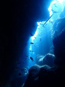 沖縄　ダイビング　万座　ＦＵＮダイビング