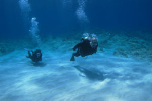 沖縄　体験ダイビング　砂地