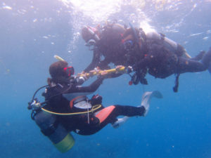 沖縄　ダイビング　砂辺