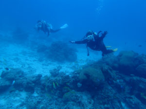 沖縄　ダイビング　慶良間　ＦＵＮダイビング　ＡＯＷ講習