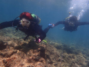 沖縄　体験ダイビング　砂辺