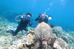 沖縄　体験ダイビング　かめ