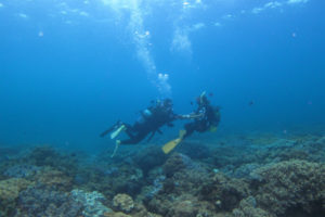 沖縄　体験ダイビング　砂辺