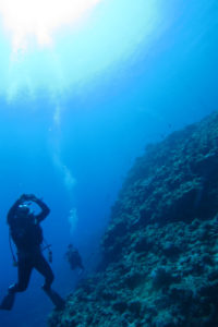 沖縄　ダイビング　慶良間