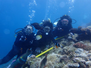 沖縄　ダイビング　真栄田岬　青の洞窟　体験ダイビング　親子