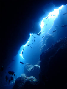 沖縄　ダイビング　万座　FUNダイビング