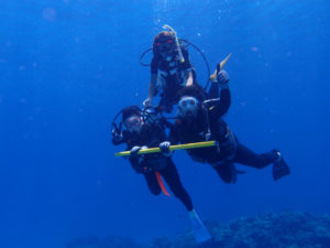 沖縄　ダイビング　慶良間　FUNダイビング　体験ダイビング