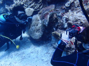 沖縄　ダイビング　慶良間　FUNダイビング　体験ダイビング