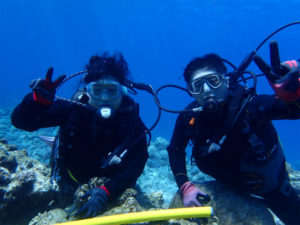 沖縄　ダイビング　慶良間　FUNダイビング　体験ダイビング