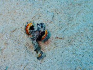 P8113613 - コピー