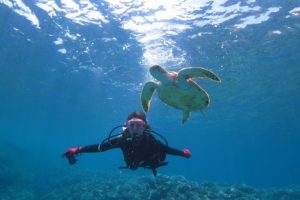 沖縄　体験ダイビング　慶良間