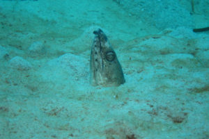 沖縄　ダイビング　万座