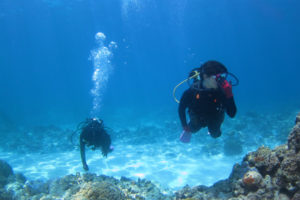 沖縄　体験ダイビング　慶良間