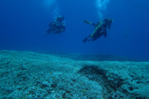 沖縄　ダイビング　慶良間　体験ダイビング　ＦＵＮダイビング