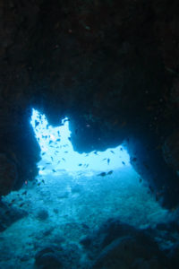 沖縄　ダイビング　地形