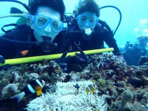 沖縄　体験ダイビング　慶良間