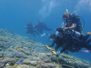 沖縄　ダイビング　万座　体験ダイビング　ＦＵＮダイビング