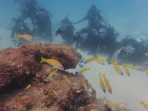 沖縄　ダイビング　万座　体験ダイビング　ＦＵＮダイビング