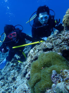 慶良間　沖縄　体験ダイビング