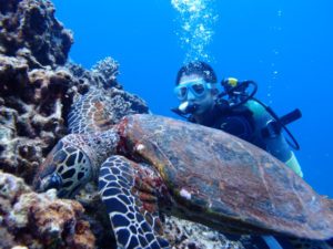 沖縄　ダイビング　慶良間　体験ダイビング　ＦＵＮダイビング
