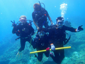 沖縄　ダイビング　青の洞窟　体験ダイビング