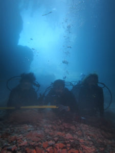 沖縄　ダイビング　青の洞窟　体験ダイビング