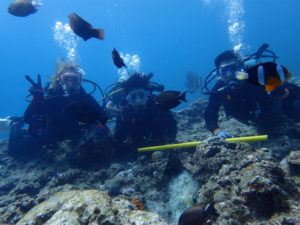 沖縄　ダイビング　青の洞窟　体験ダイビング