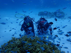 沖縄　慶良間　体験ダイビング　沖縄ダイビング