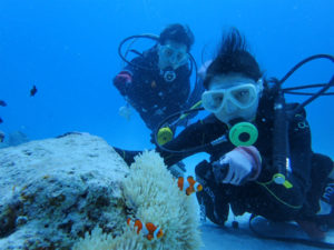 沖縄　ダイビング　慶良間　体験ダイビング