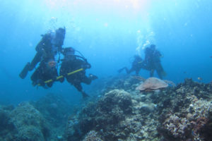 沖縄　ダイビング　慶良間　体験ダイビング　FUNダイビング