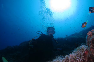 沖縄　慶良間　FUNダイビング　体験ダイビング　ダイビング