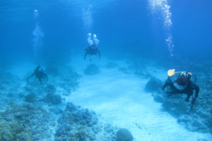 沖縄　慶良間　FUNダイビング　体験ダイビング　ダイビング