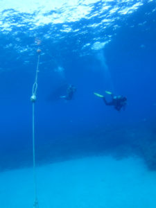 沖縄　ダイビング　万座　透明度抜群