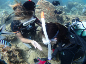 沖縄　ダイビング　ライセンス講習　OW
