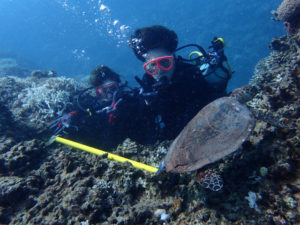 沖縄　ダイビング　慶良間　体験ダイビング　FUNダイビング