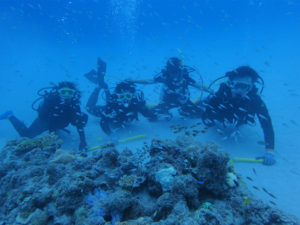 沖縄　ダイビング　慶良間　体験ダイビング　FUNダイビング