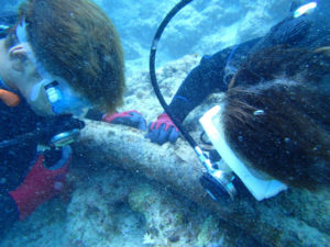 沖縄　ダイビング　慶良間　体験ダイビング　FUNダイビング