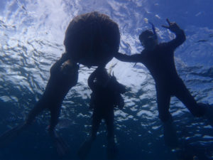 沖縄　砂辺　体験ダイビング　シュノーケル
