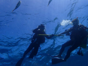 沖縄　慶良間　体験ダイビング