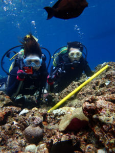 沖縄　ダイビング　真栄田岬　体験ダイビング