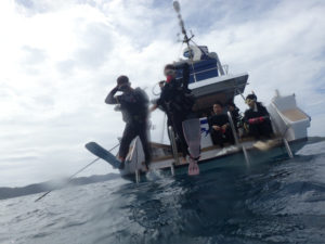 沖縄　慶良間　体験ダイビング　FUNダイビング　OW講習　ダイビング