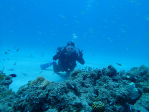 沖縄　慶良間　FUNダイビング　体験ダイビング　ダイビング