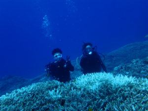 沖縄　慶良間　FUNダイビング　体験ダイビング　ダイビング