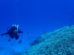 沖縄　ダイビング　慶良間　体験ダイビング　FUNダイビング