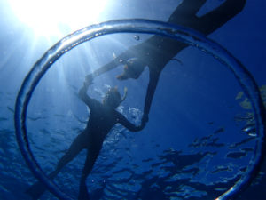 沖縄　ダイビング　慶良間　体験ダイビング　FUNダイビング