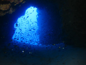 沖縄　万座　FUNダイビング　ダイビング　